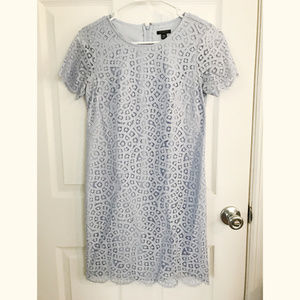 Ann Taylor Light Blue Lace Shift Dress
